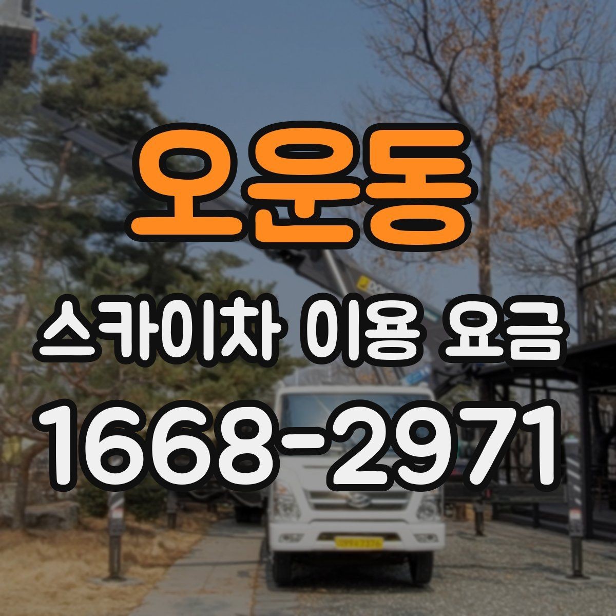오운동 스카이차 이용 요금 문의 전 정리하면 좋은 정보