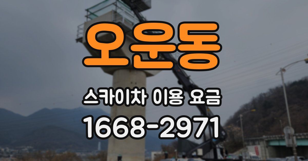 오운동 스카이차 이용 요금