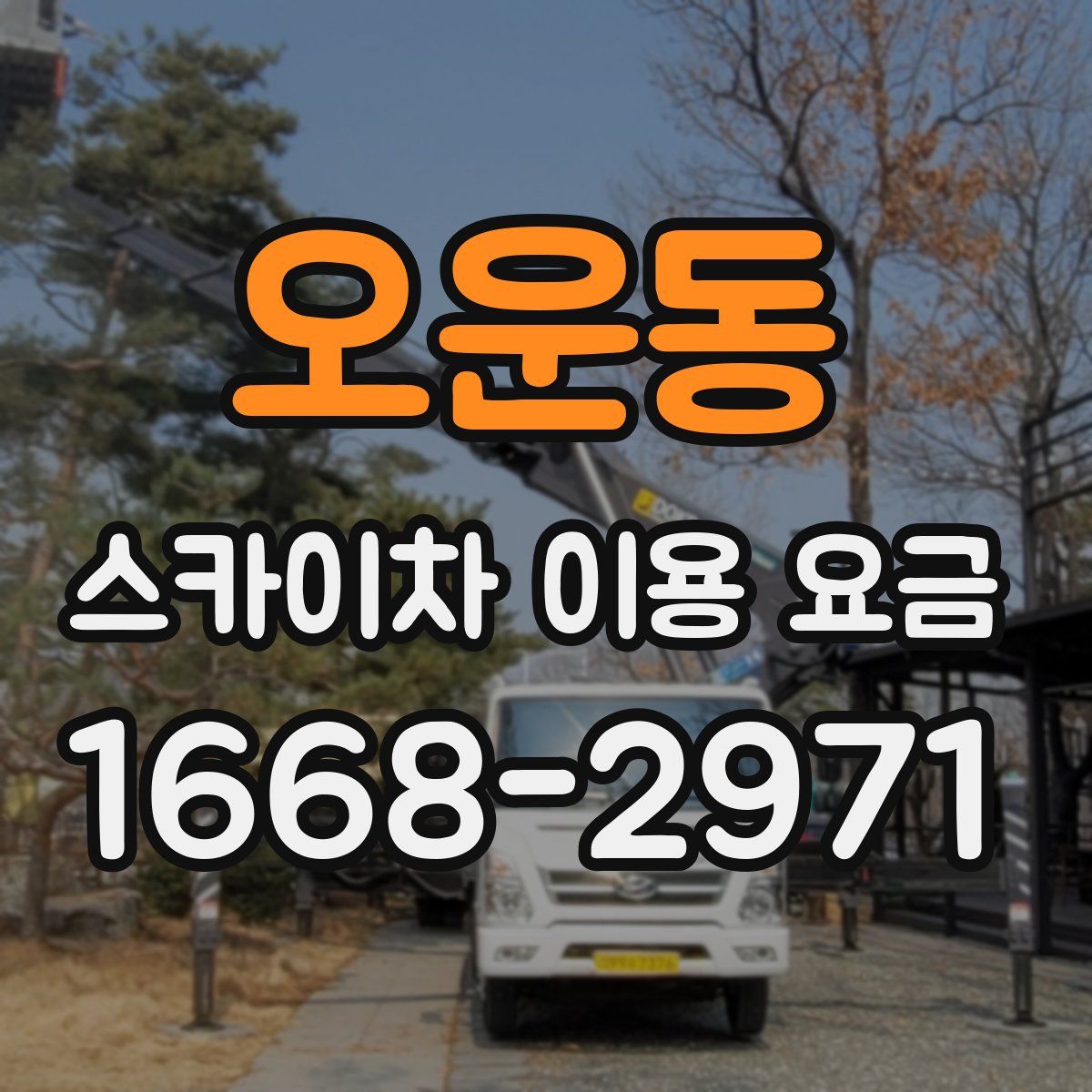 오운동 스카이차 이용 요금