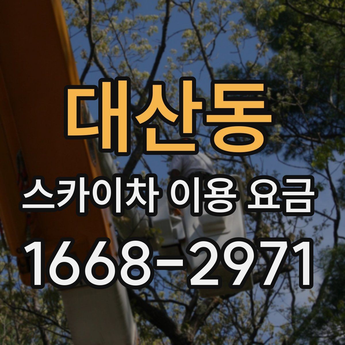 대산동 스카이차 이용 요금 확인 시 주의할 추가 비용