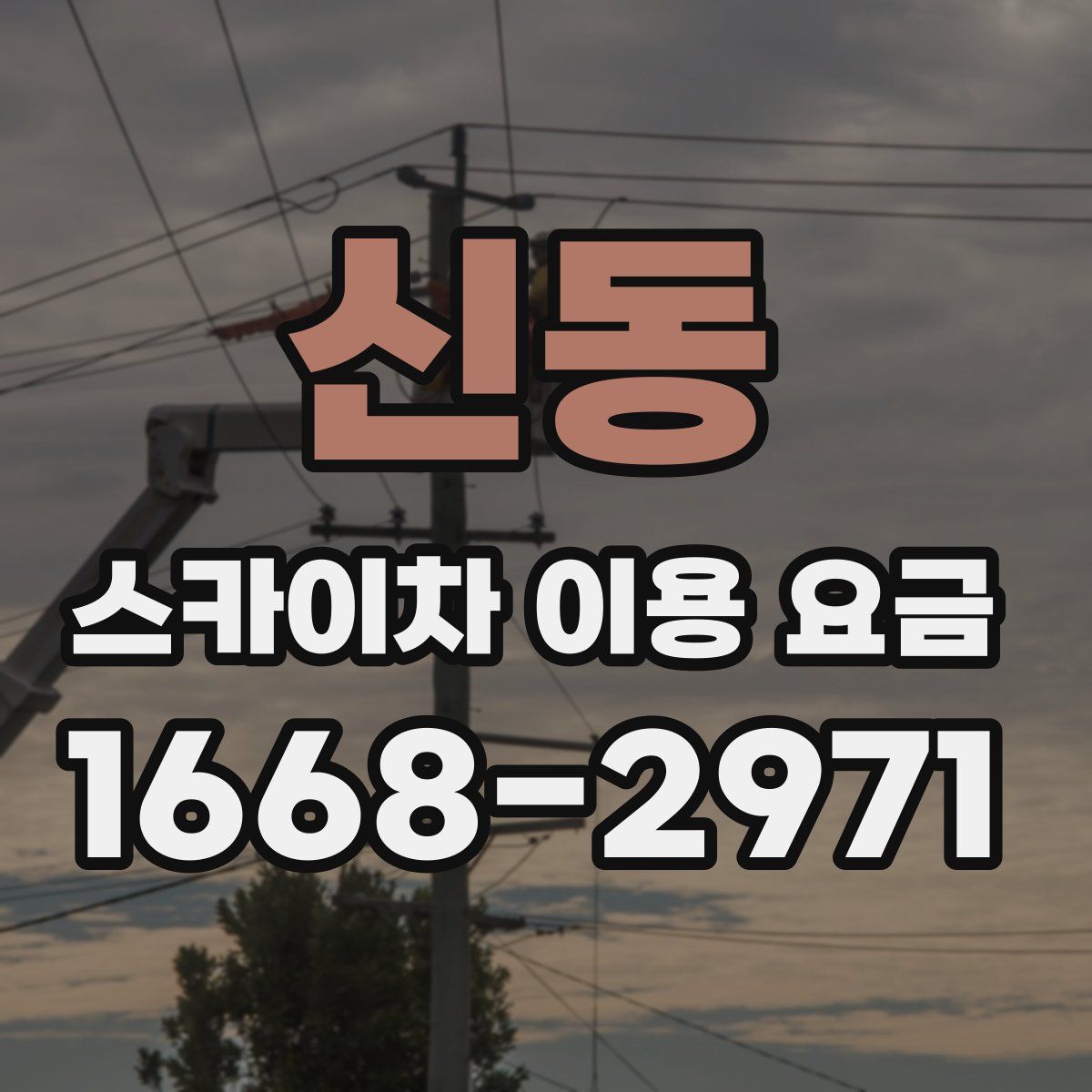 신동 스카이차 이용 요금