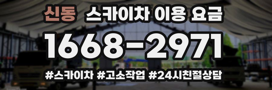 신동 스카이차 이용 요금