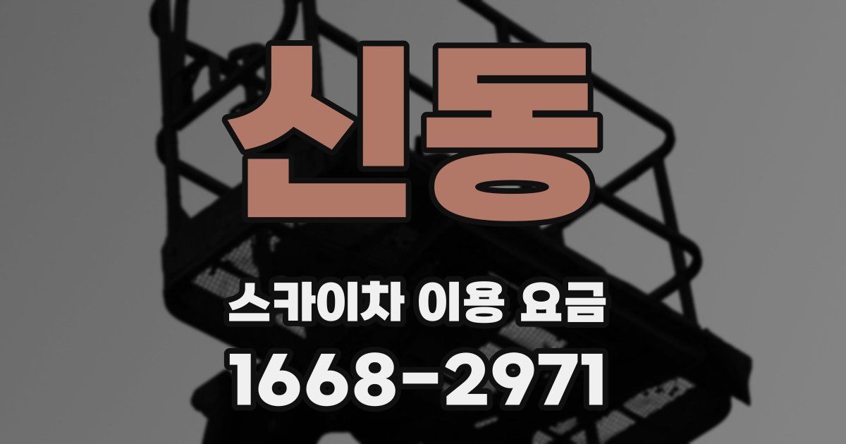 신동 스카이차 이용 요금