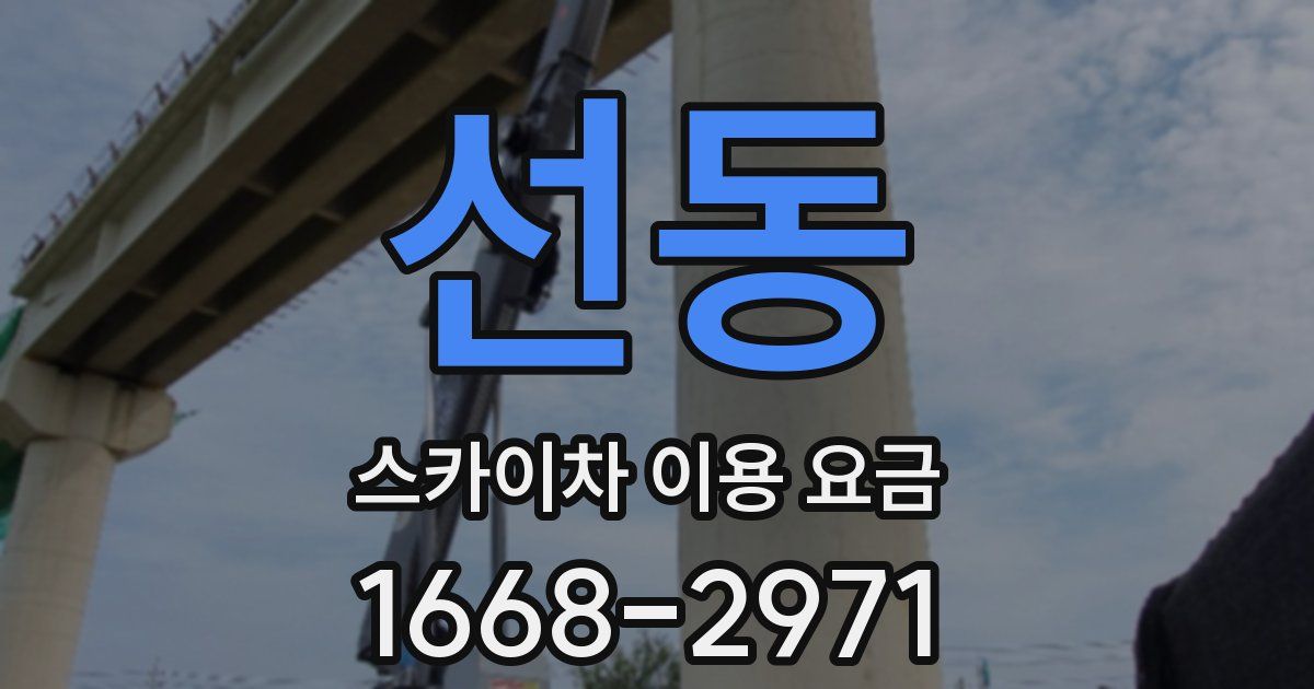 선동 스카이차 이용 요금