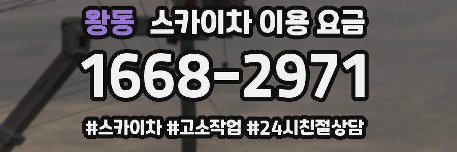왕동 스카이차 이용 요금
