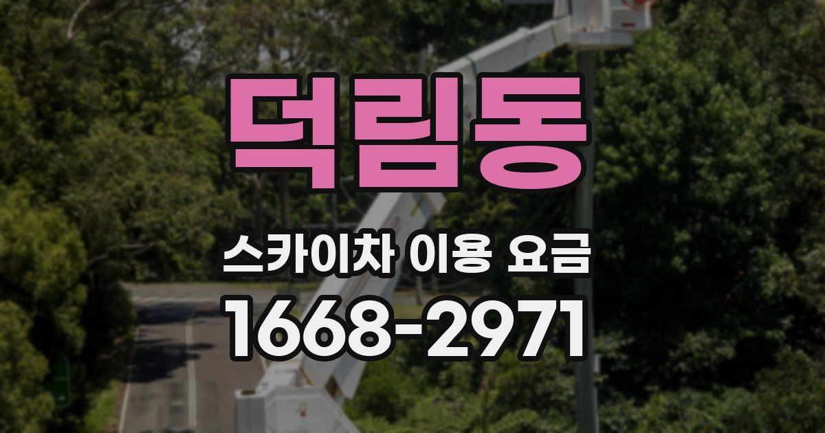 덕림동 스카이차 이용 요금
