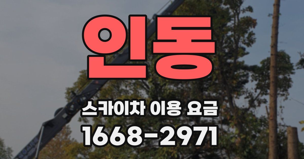 인동 스카이차 이용 요금