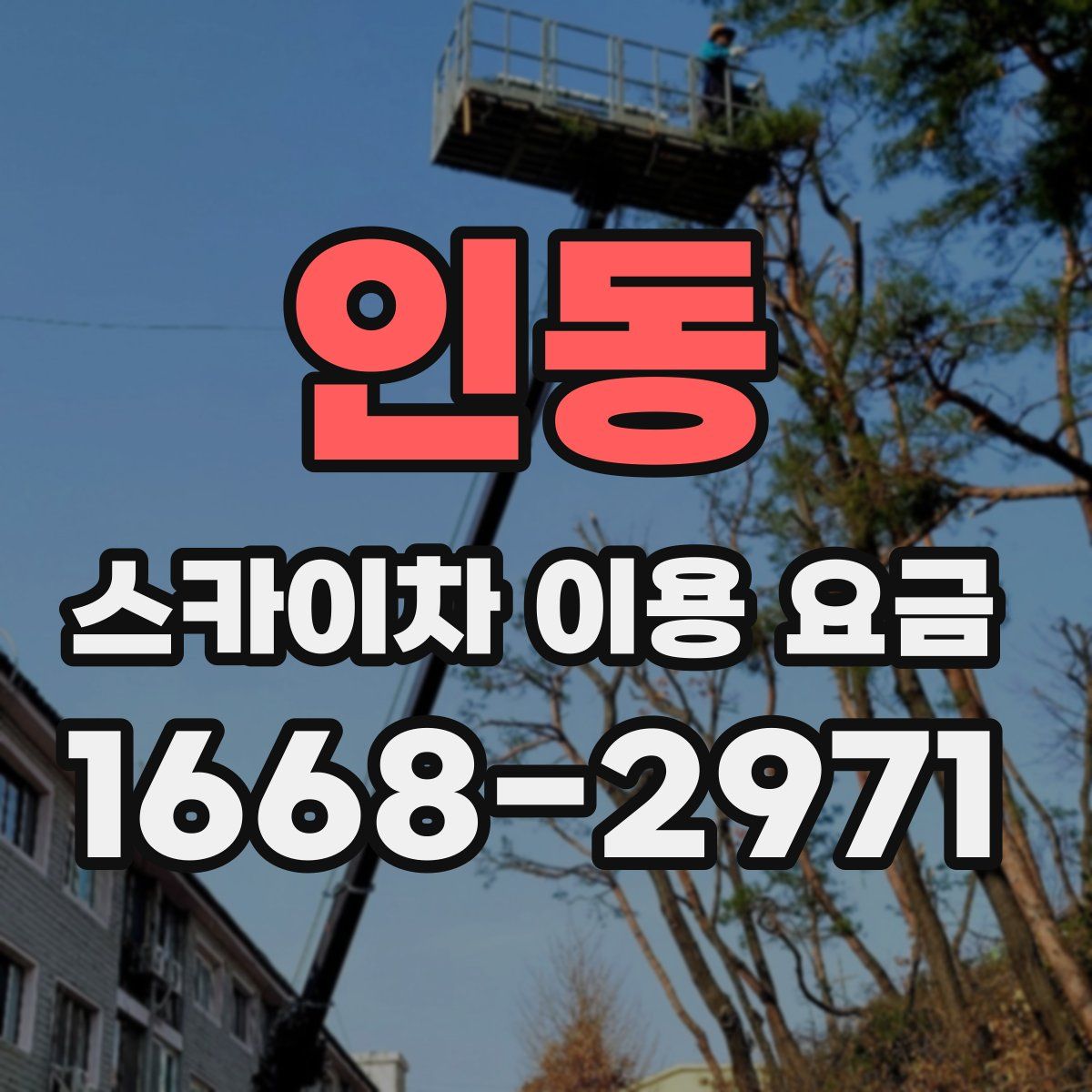 인동 스카이차 이용 요금