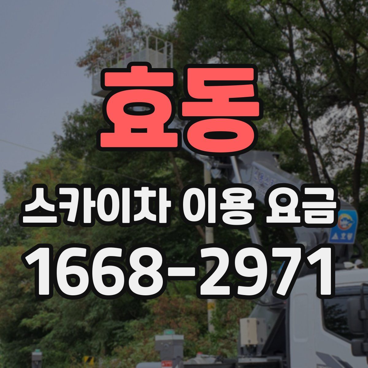 효동 스카이차 이용 요금