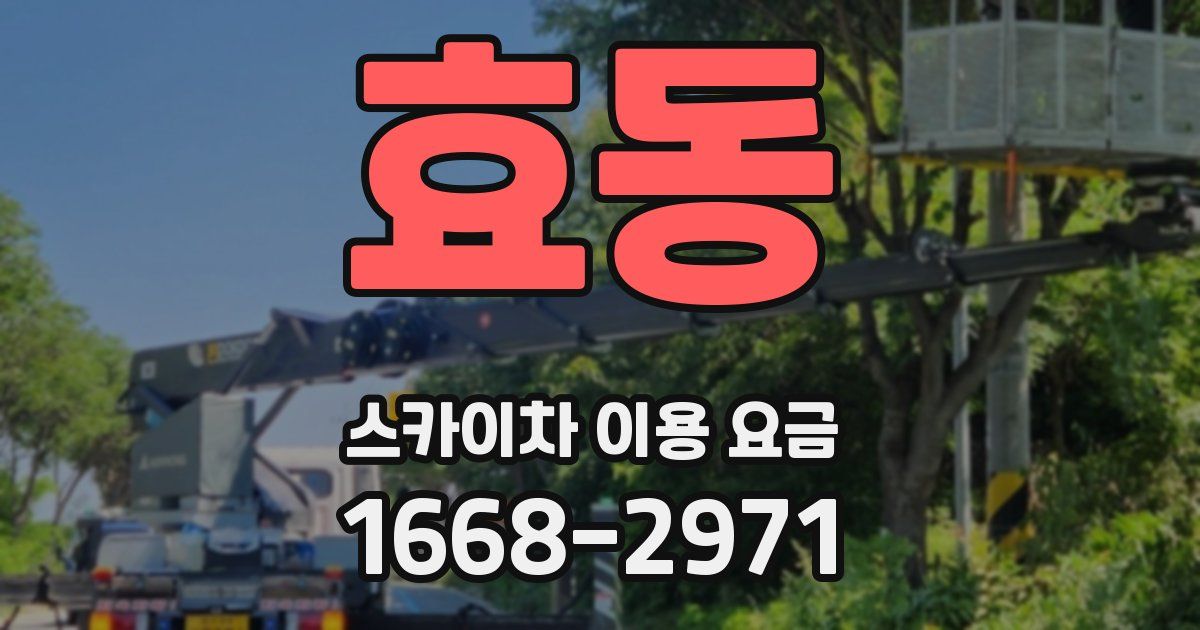 효동 스카이차 이용 요금