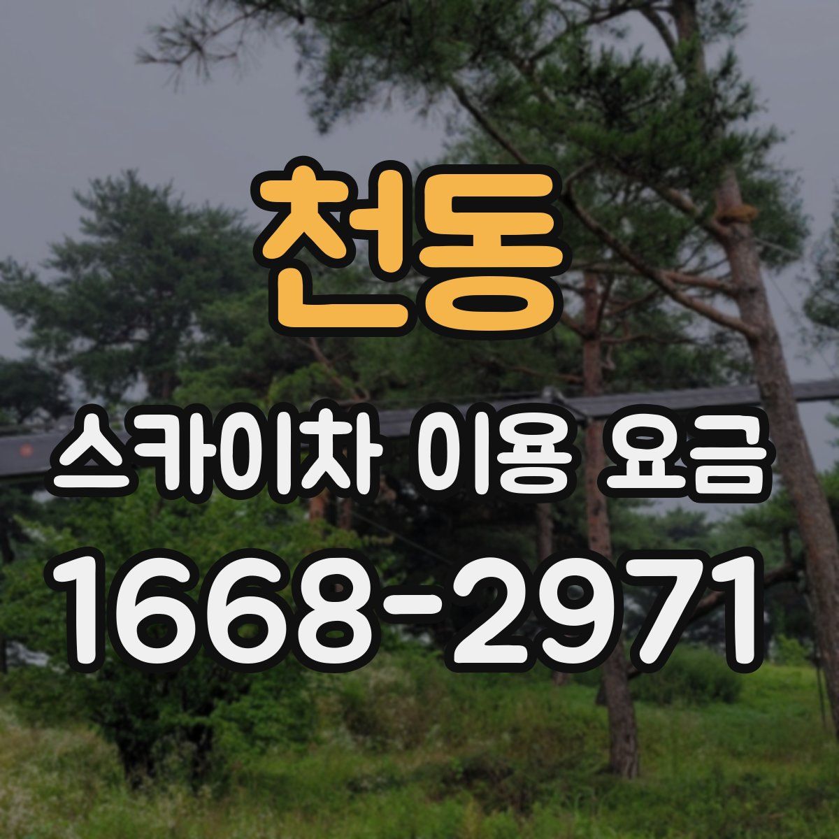 천동 스카이차 이용 요금