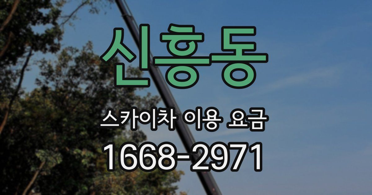 신흥동 스카이차 이용 요금