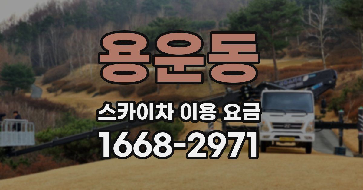 용운동 스카이차 이용 요금