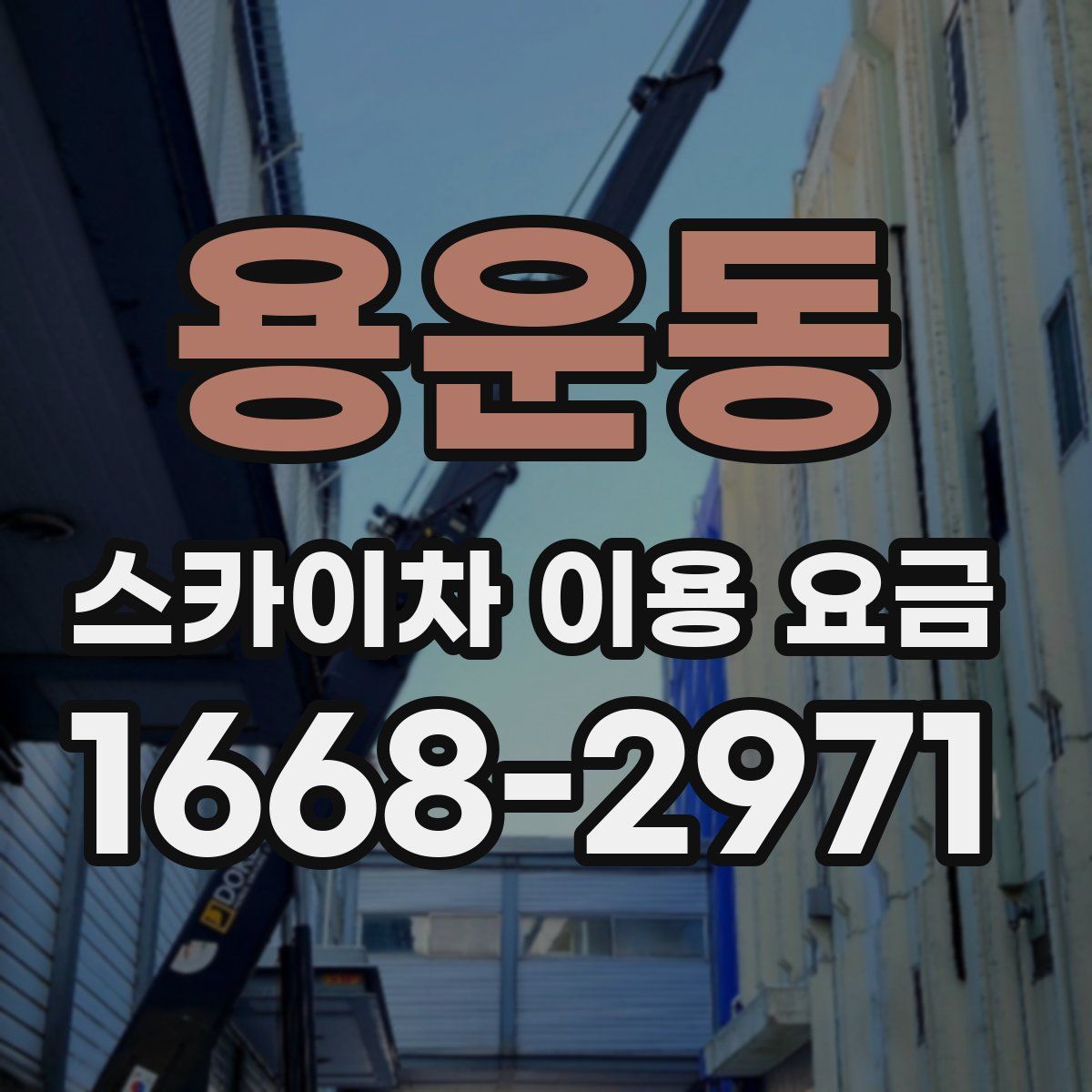 용운동 스카이차 이용 요금