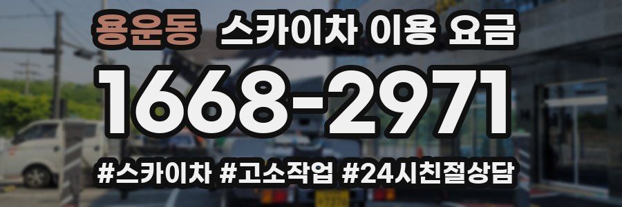 용운동 스카이차 이용 요금