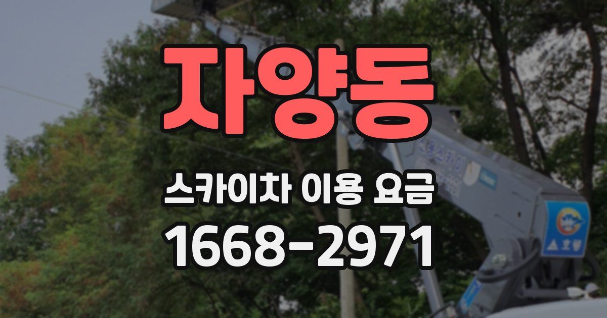 자양동 스카이차 이용 요금