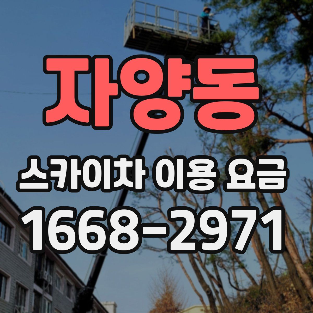 자양동 스카이차 이용 요금
