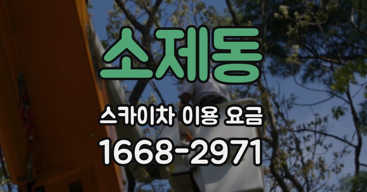 소제동 스카이차 이용 요금