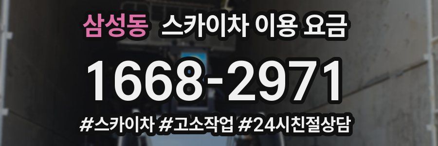 삼성동 스카이차 이용 요금