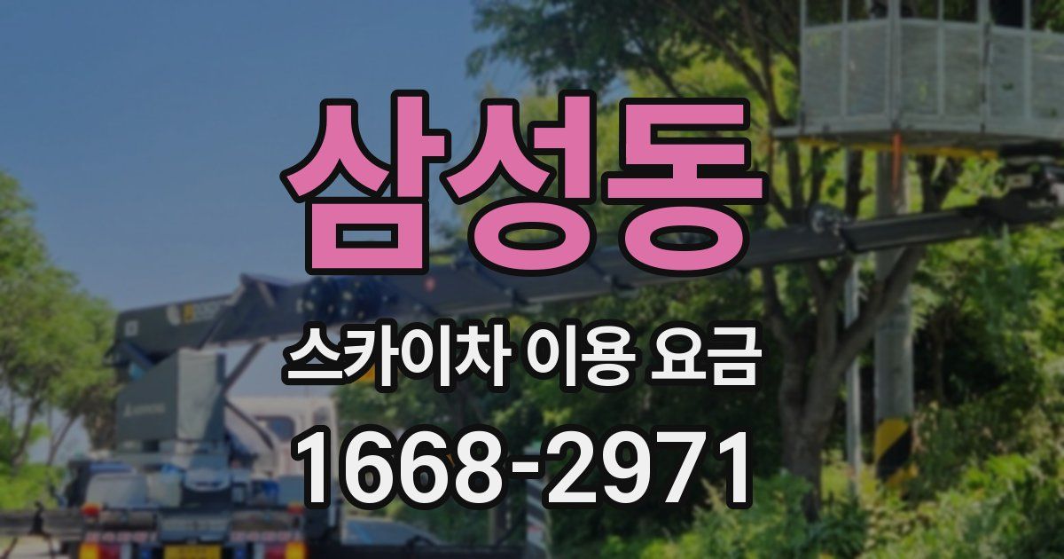 삼성동 스카이차 이용 요금