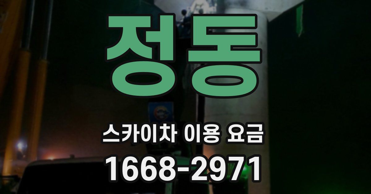 정동 스카이차 이용 요금