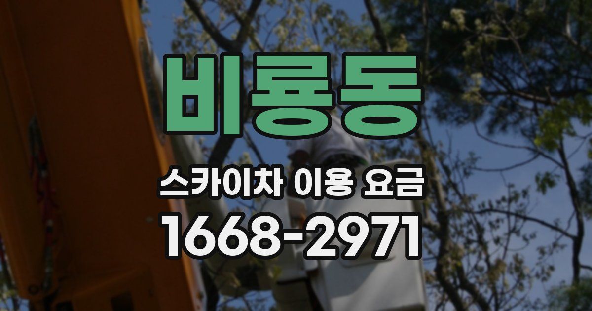 비룡동 스카이차 이용 요금