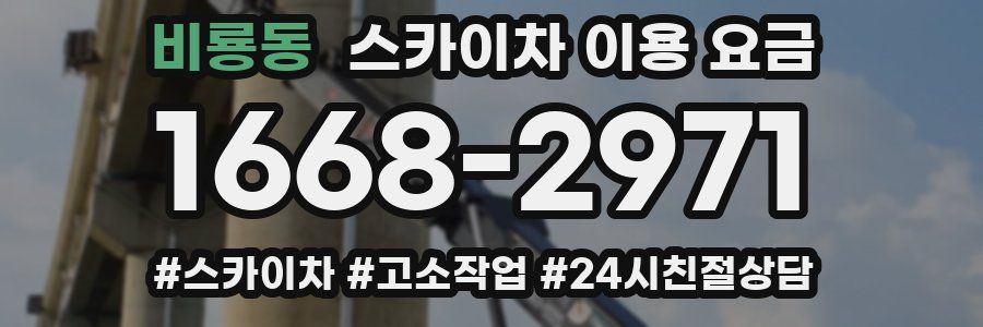 비룡동 스카이차 이용 요금