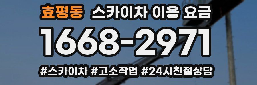 효평동 스카이차 이용 요금