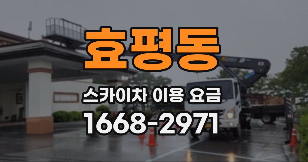 효평동 스카이차 이용 요금