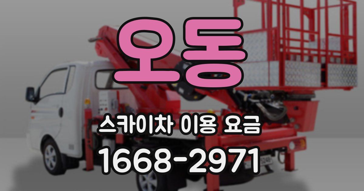 오동 스카이차 이용 요금