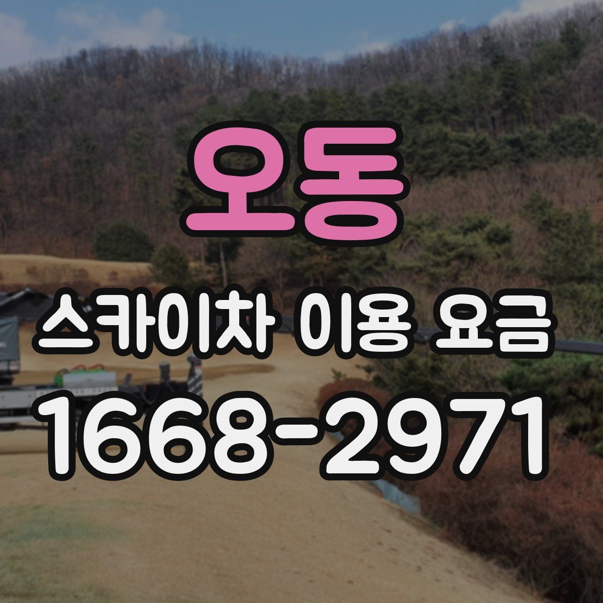 오동 스카이차 이용 요금