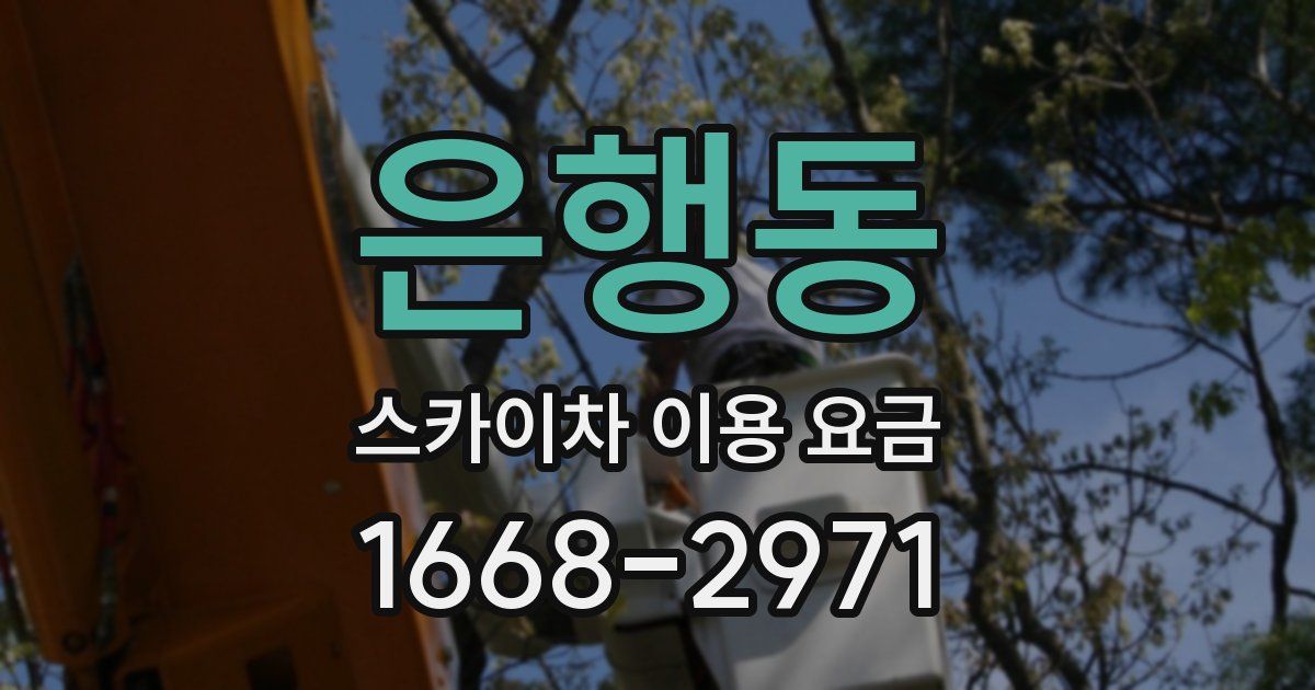은행동 스카이차 이용 요금