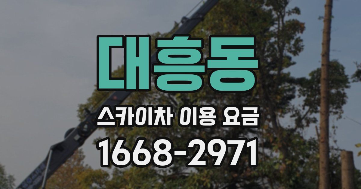 대흥동 스카이차 이용 요금