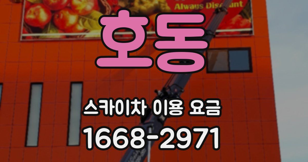 호동 스카이차 이용 요금