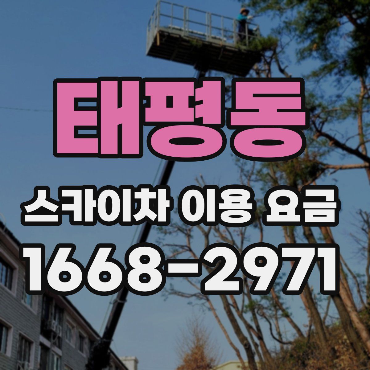 태평동 스카이차 이용 요금