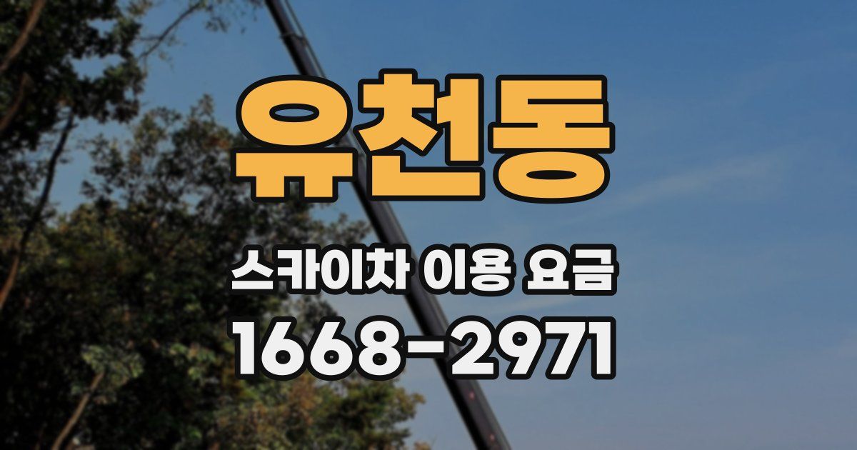 유천동 스카이차 이용 요금
