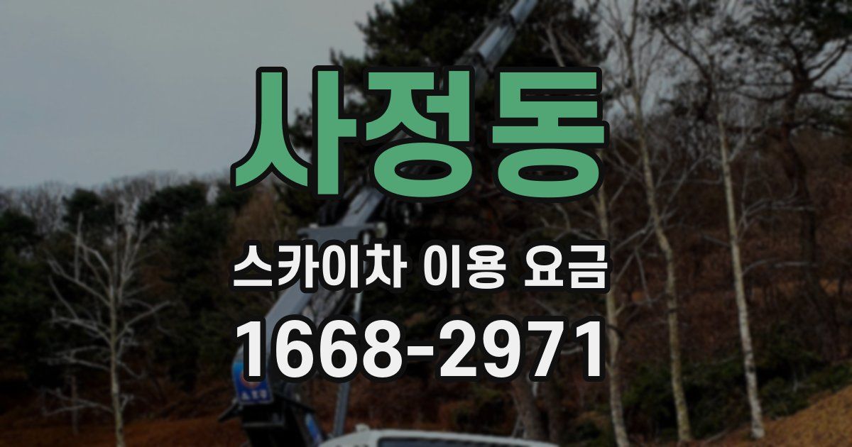 사정동 스카이차 이용 요금