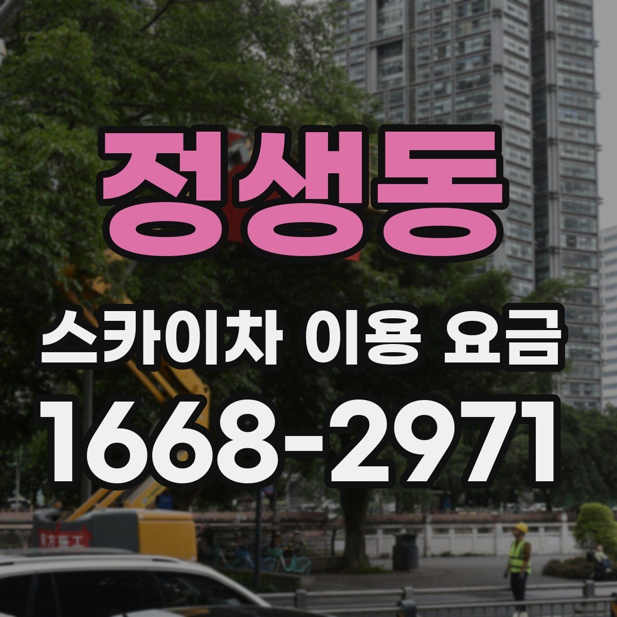정생동 스카이차 이용 요금 정리와 문의 팁