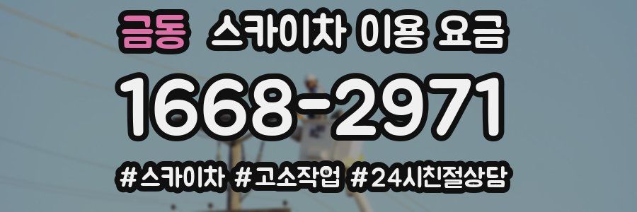 금동 스카이차 이용 요금