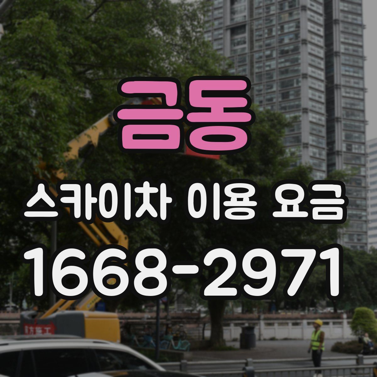 금동 스카이차 이용 요금