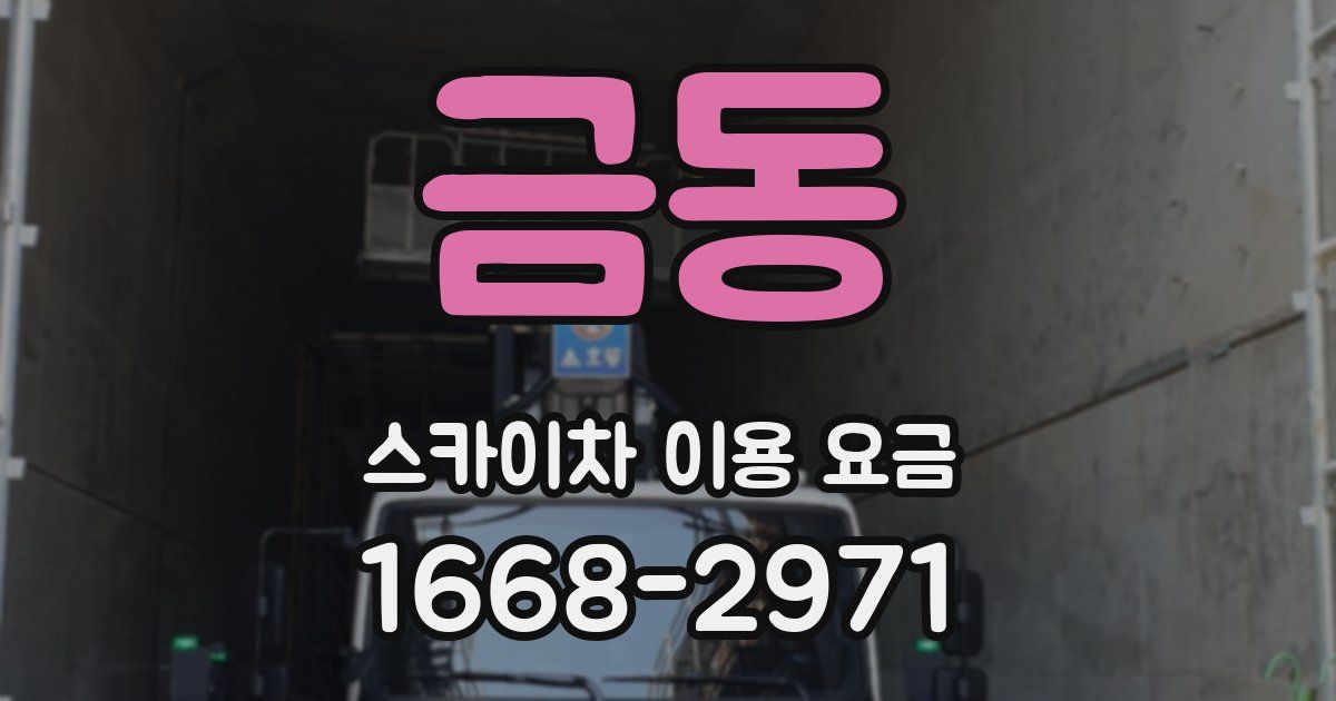 금동 스카이차 이용 요금
