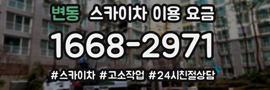 변동 스카이차 이용 요금