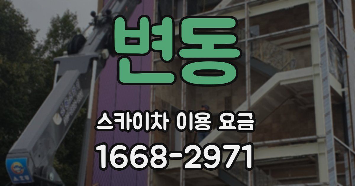 변동 스카이차 이용 요금