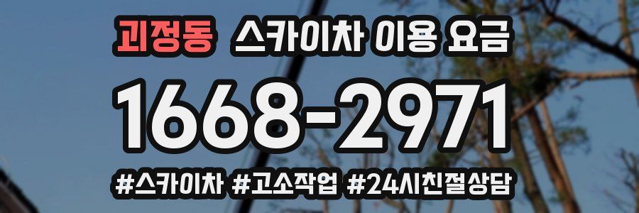 괴정동 스카이차 이용 요금