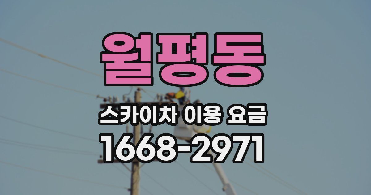 월평동 스카이차 이용 요금