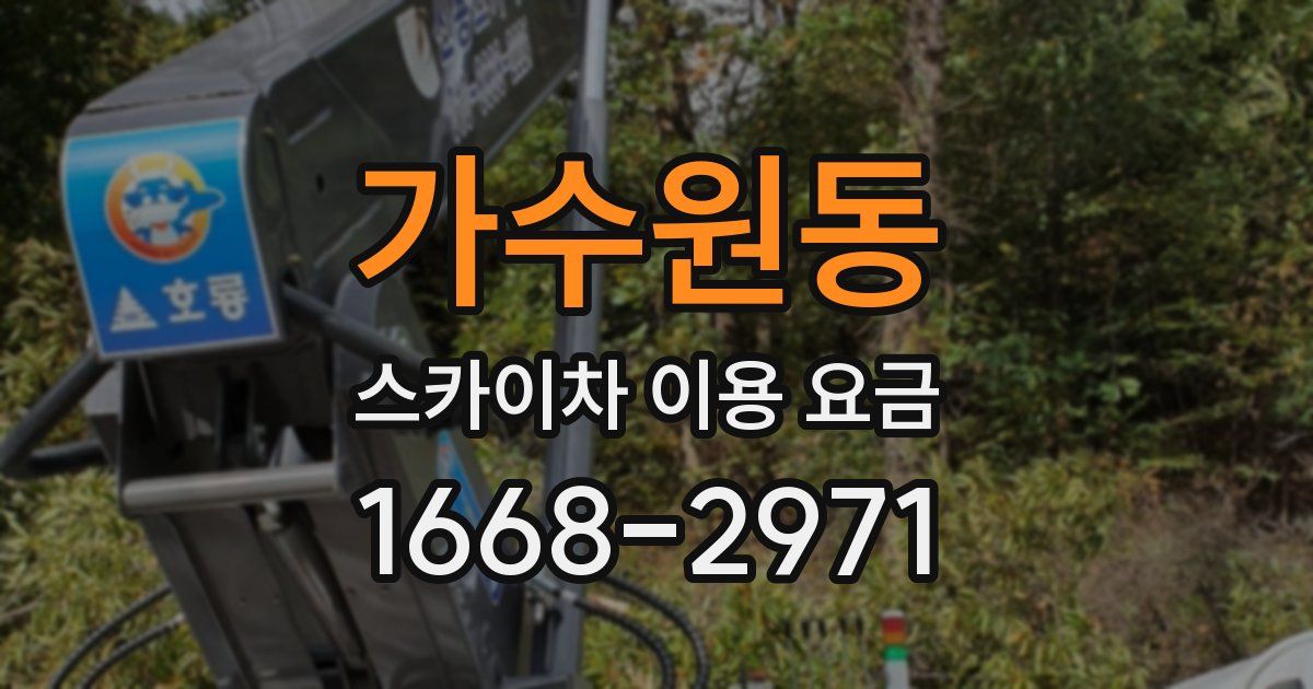 가수원동 스카이차 이용 요금