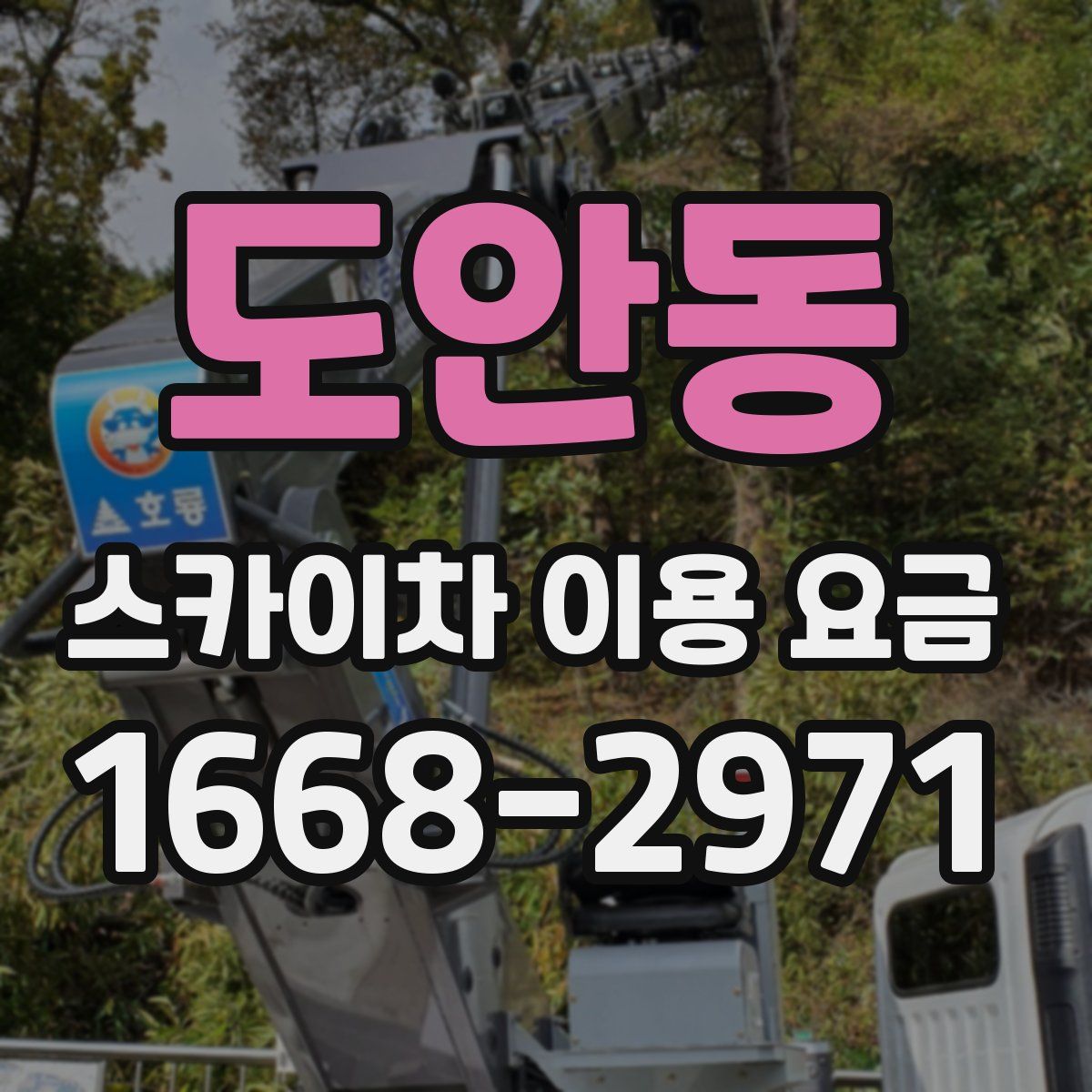 도안동 스카이차 이용 요금