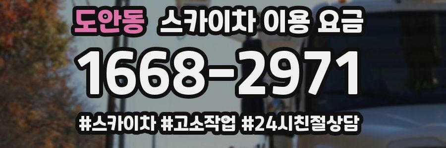 도안동 스카이차 이용 요금