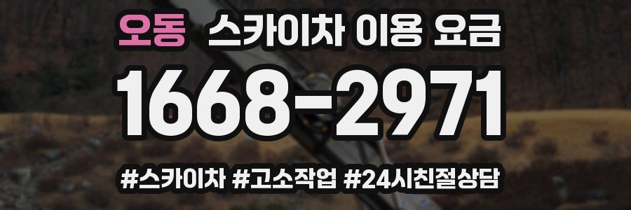 오동 스카이차 이용 요금