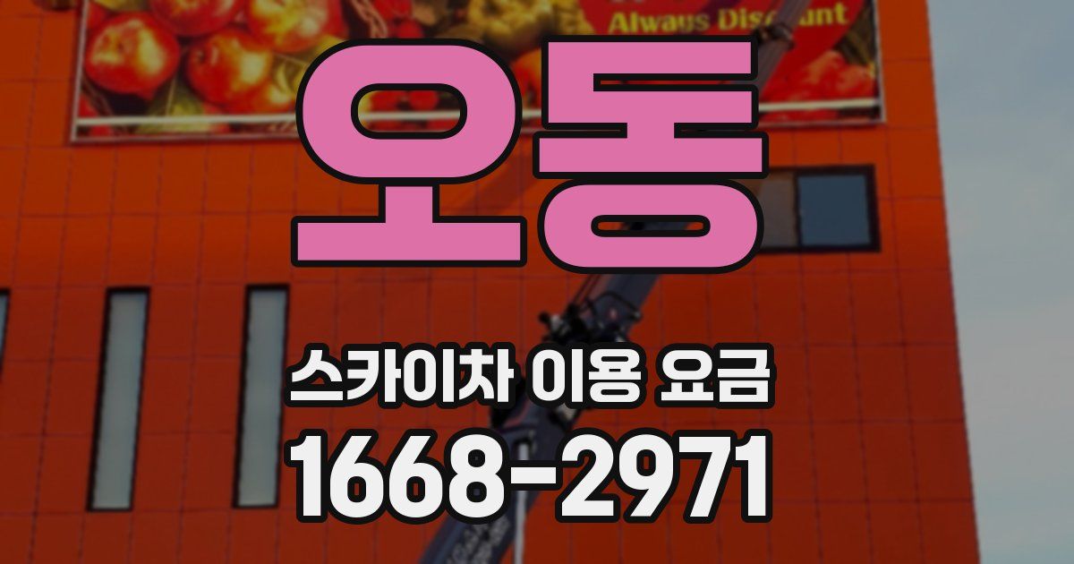 오동 스카이차 이용 요금